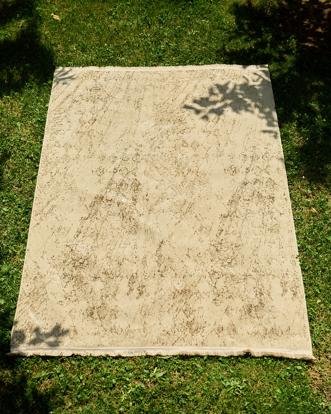 Verona Rugs Bej (9538812379429)