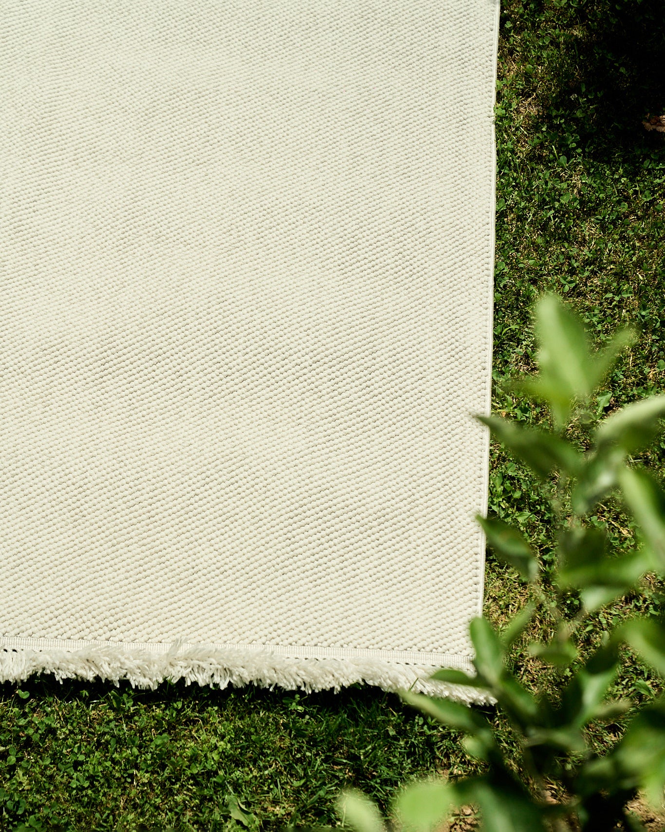 PARIS 15767 KREM detail 1