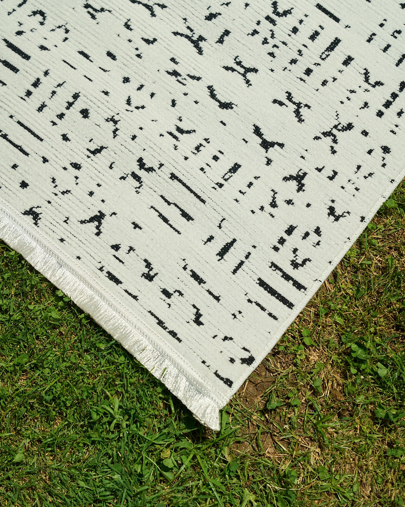 APOLLO 5869 WHITE detail 3