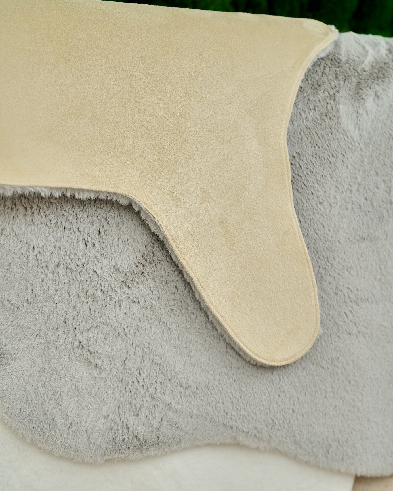 MINYAS 4207 SILVER STONE